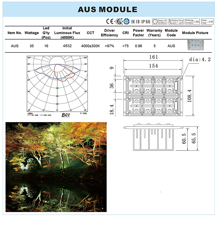 AUS MODULE.jpg